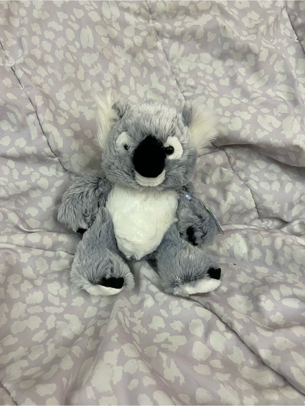NWT Webkinz Koala Plush Retired